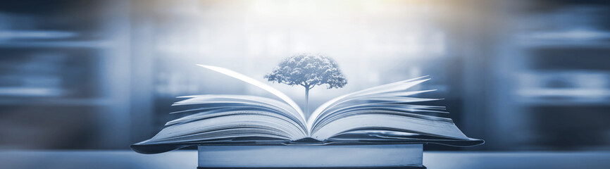 07年星光大道杨宗纬第几名 超级星光大道第一届杨宗纬